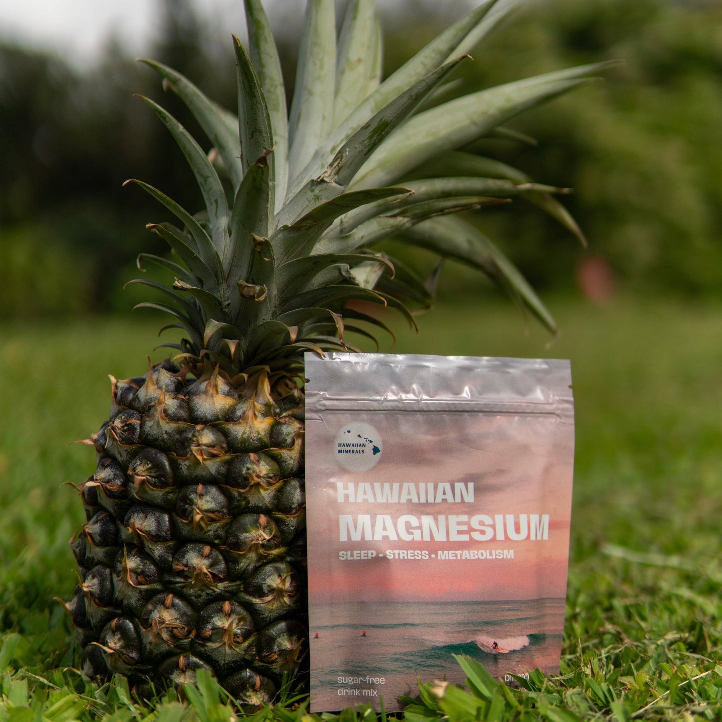 Pineapple Magnesium | Deep Sleep
